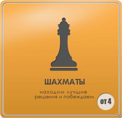 Шахматы